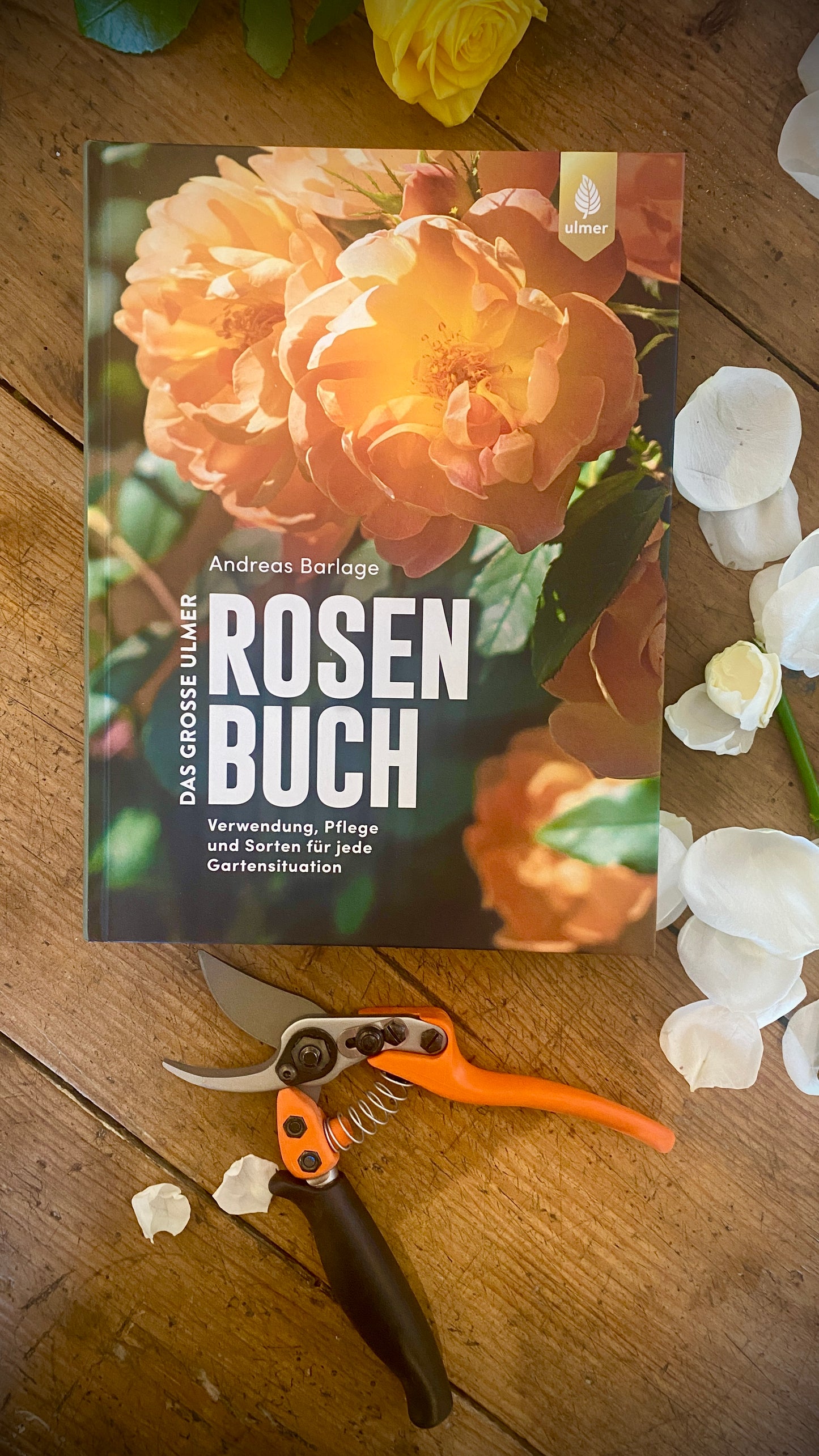 Geschenkset Das große Rosen Buch mit Original Löwe Bypass-Schere mit Rollgriff