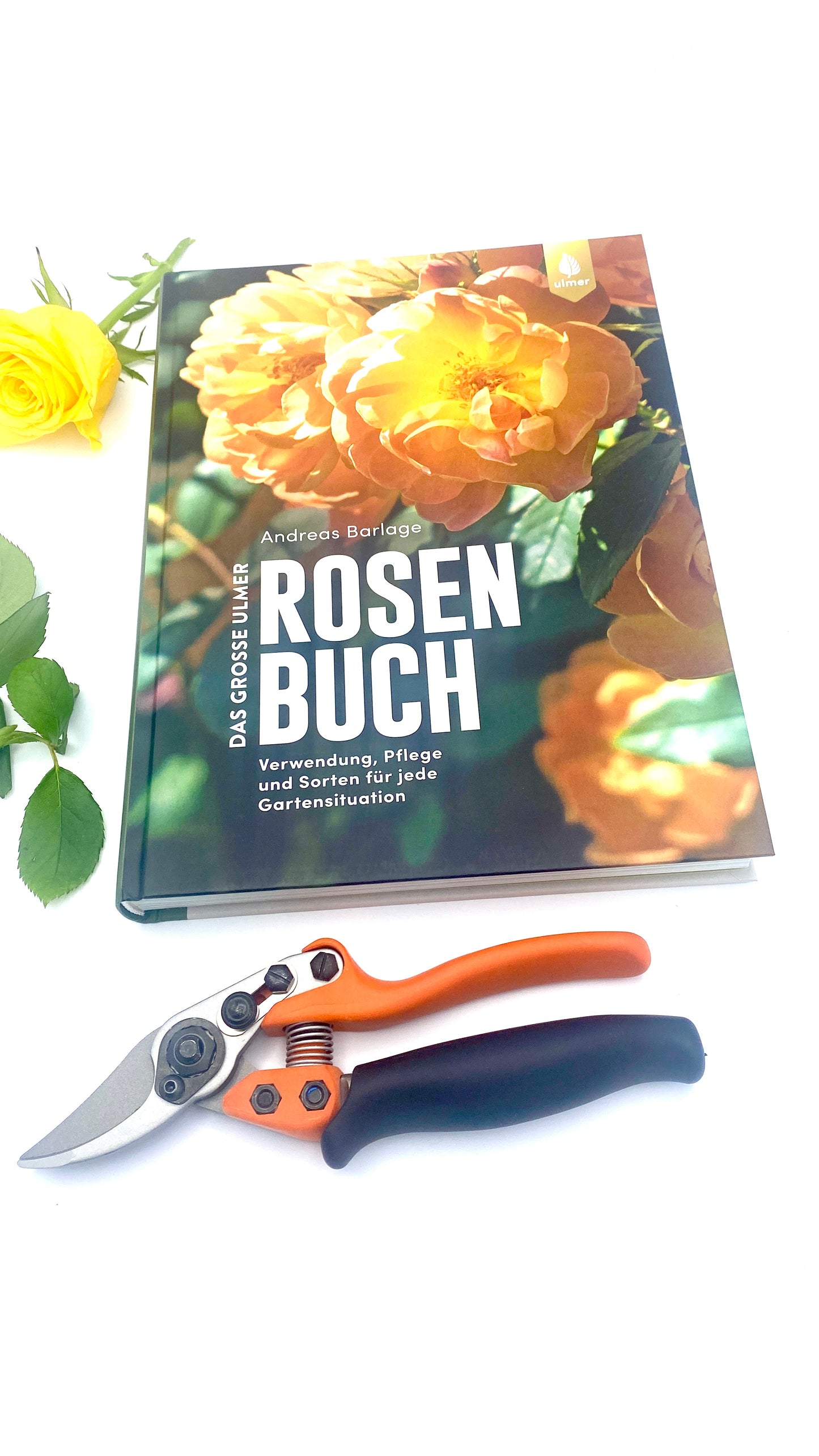 Geschenkset Das große Rosen Buch mit Original Löwe Bypass-Schere mit Rollgriff