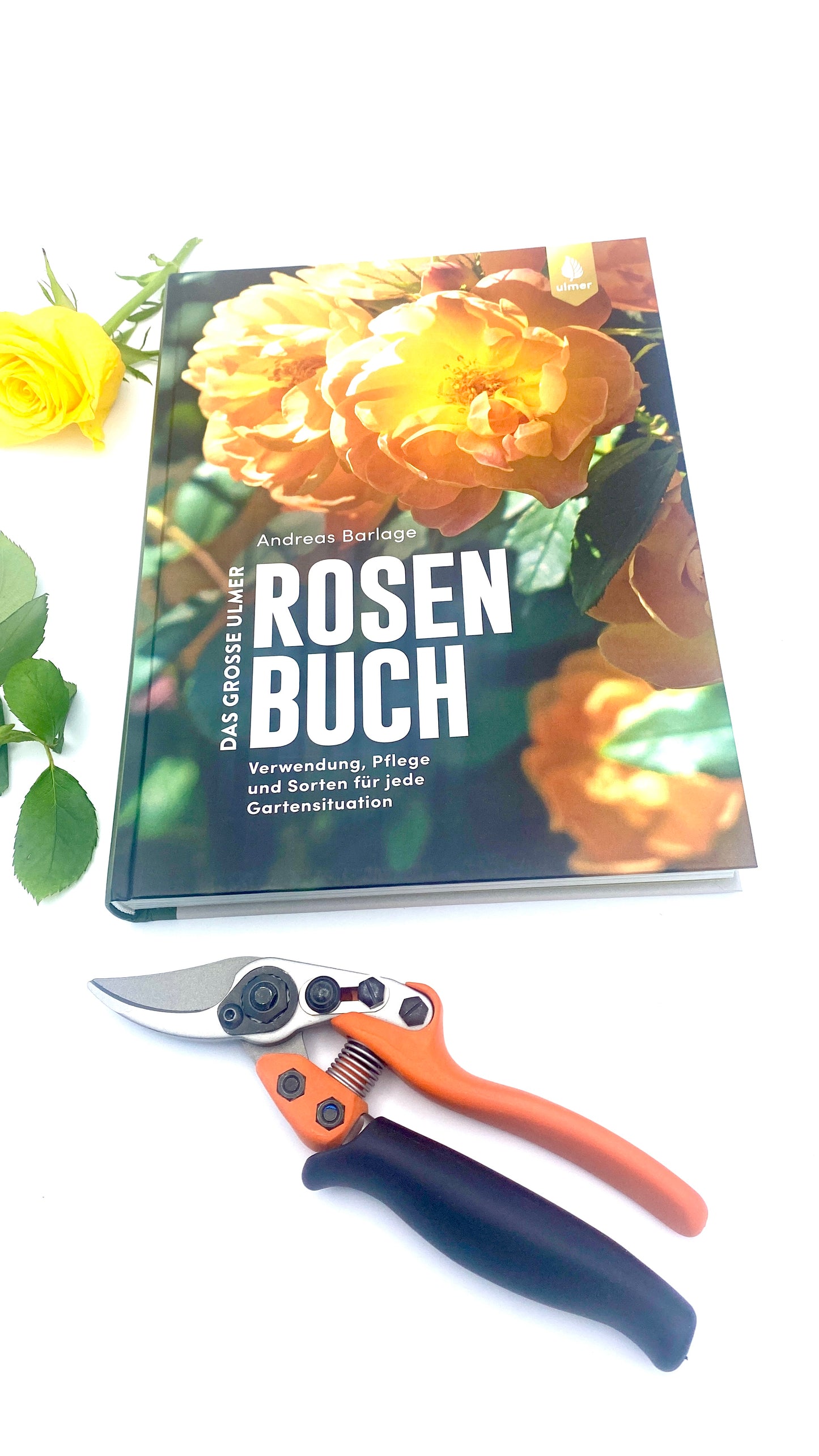 Geschenkset Das große Rosen Buch mit Original Löwe Bypass-Schere mit Rollgriff
