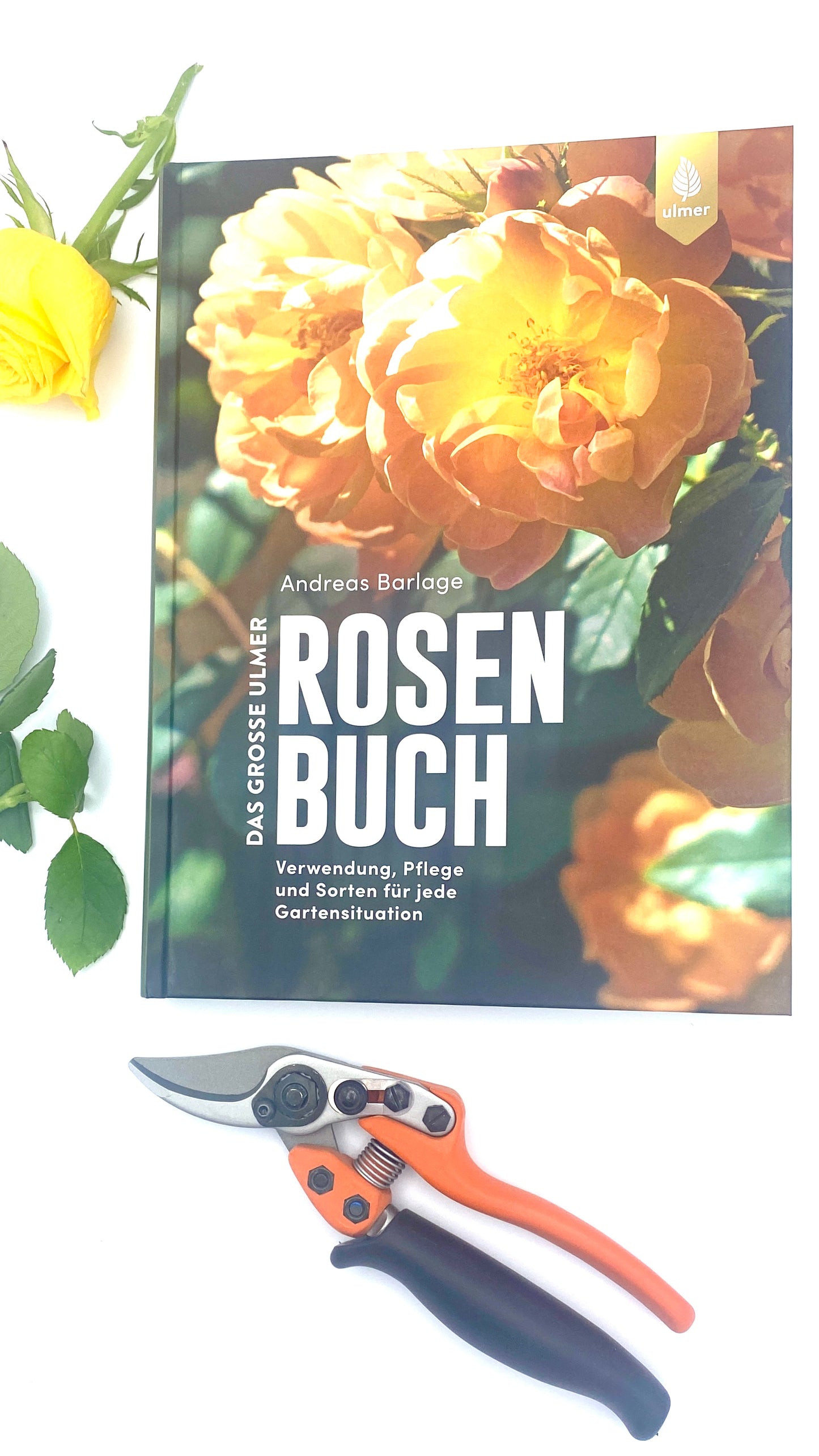 Geschenkset Das große Rosen Buch mit Original Löwe Bypass-Schere mit Rollgriff