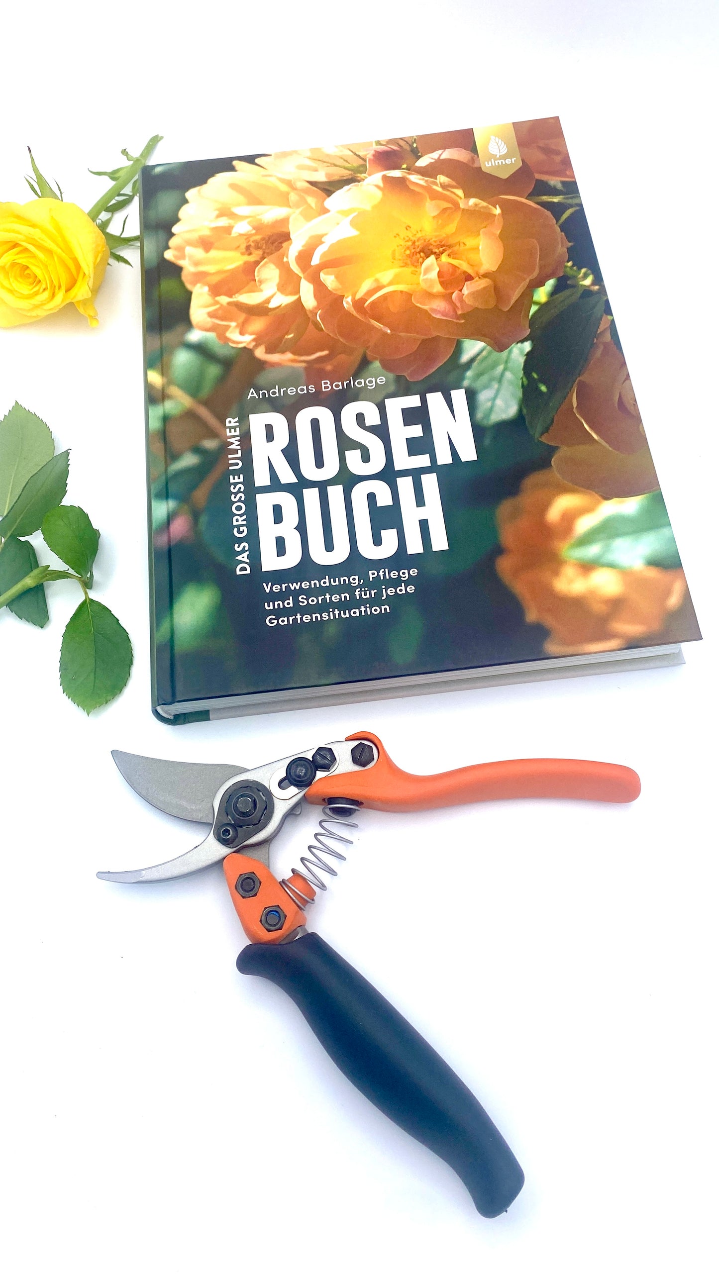 Geschenkset Das große Rosen Buch mit Original Löwe Bypass-Schere mit Rollgriff