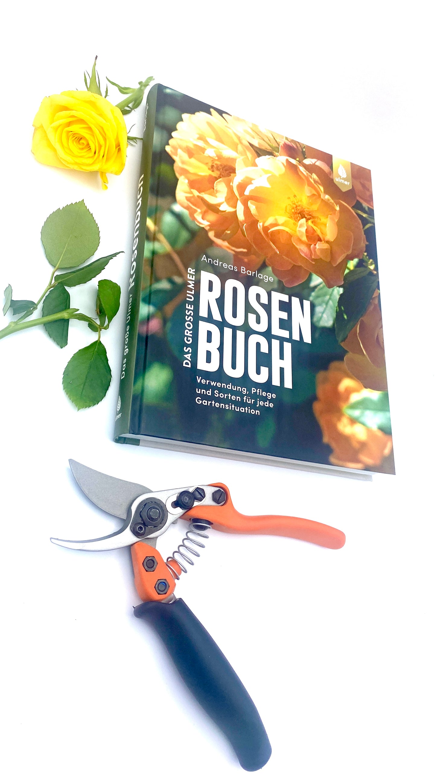 Geschenkset Das große Rosen Buch mit Original Löwe Bypass-Schere mit Rollgriff