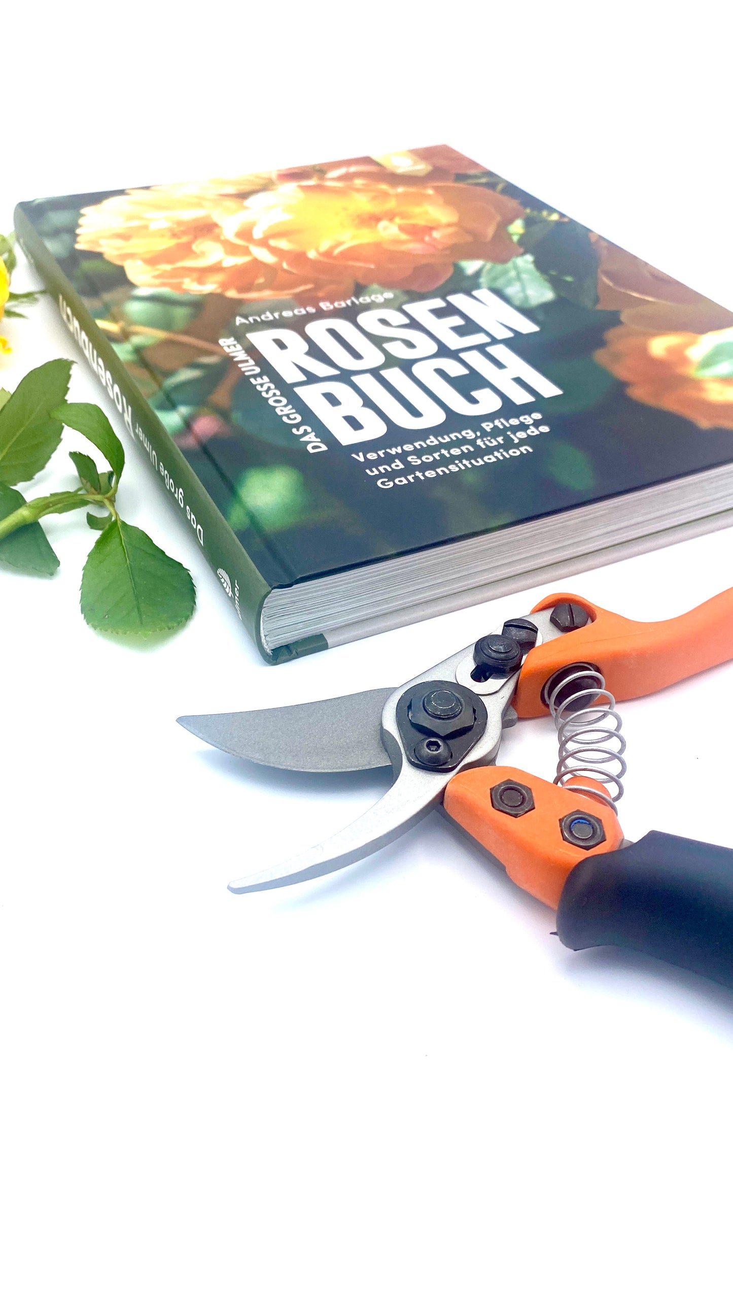 Geschenkset Das große Rosen Buch mit Original Löwe Bypass-Schere mit Rollgriff