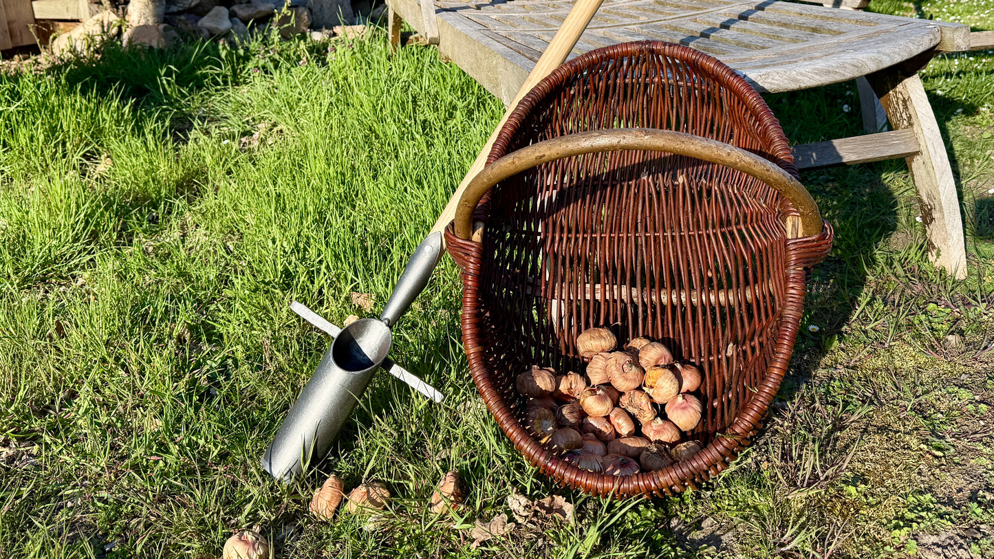 Krumpholz Zwiebelpflanzer 6 cm Durchmesser mit Tritt und Esche-T-Stiel 80 cm