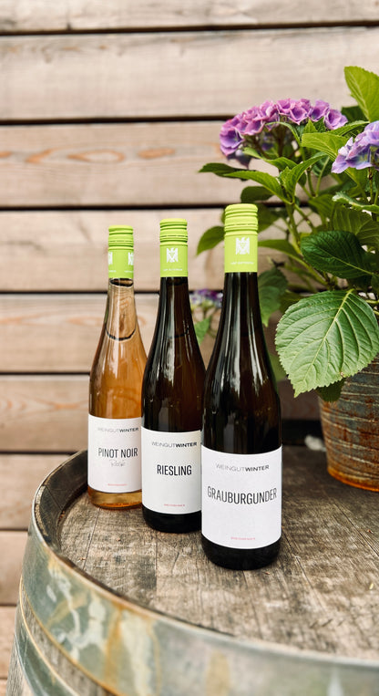 Weinprobe für zuhause – 3 ausgewählte Weine vom Weingut Winter