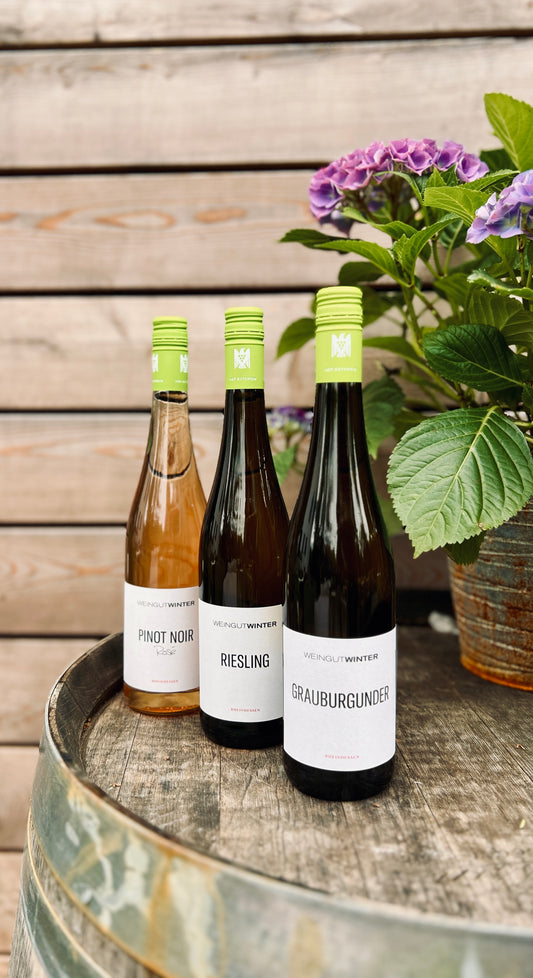 Weinprobe für zuhause – 3 ausgewählte Weine vom Weingut Winter