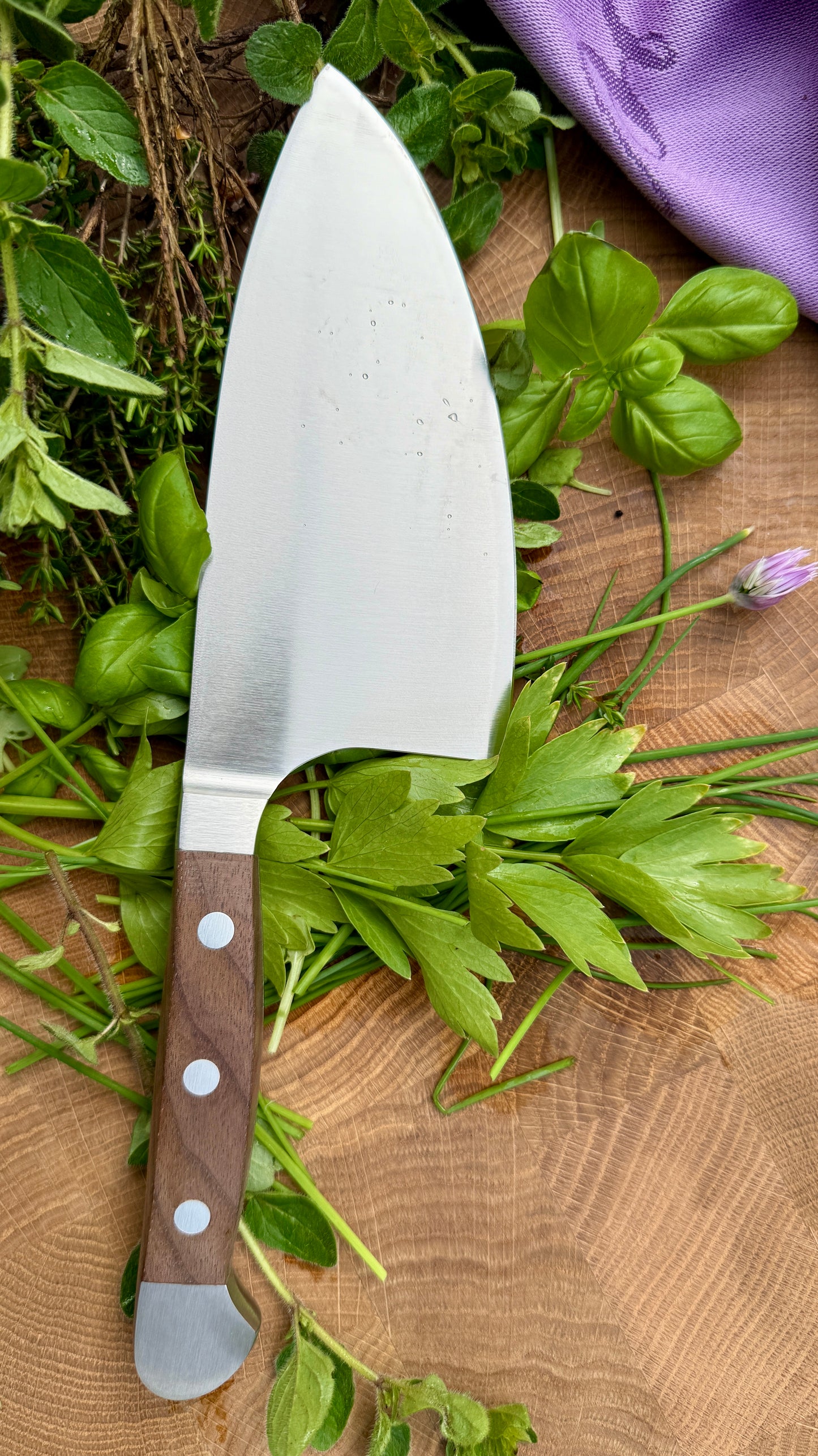 Güde Kräutermesser Shark – Alpha Walnuss (Klingenlänge 14 cm)