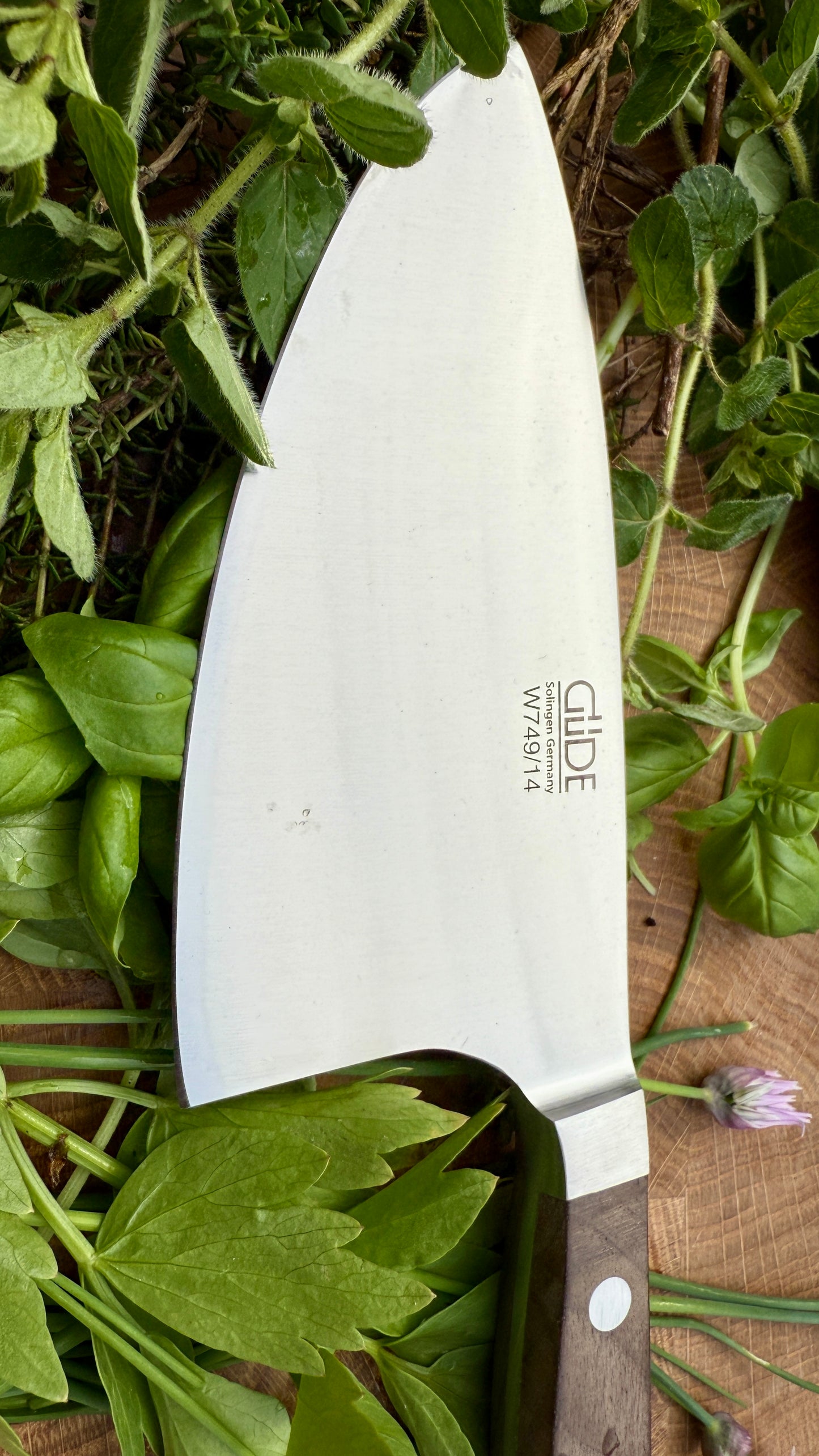 Güde Kräutermesser Shark – Alpha Walnuss (Klingenlänge 14 cm)