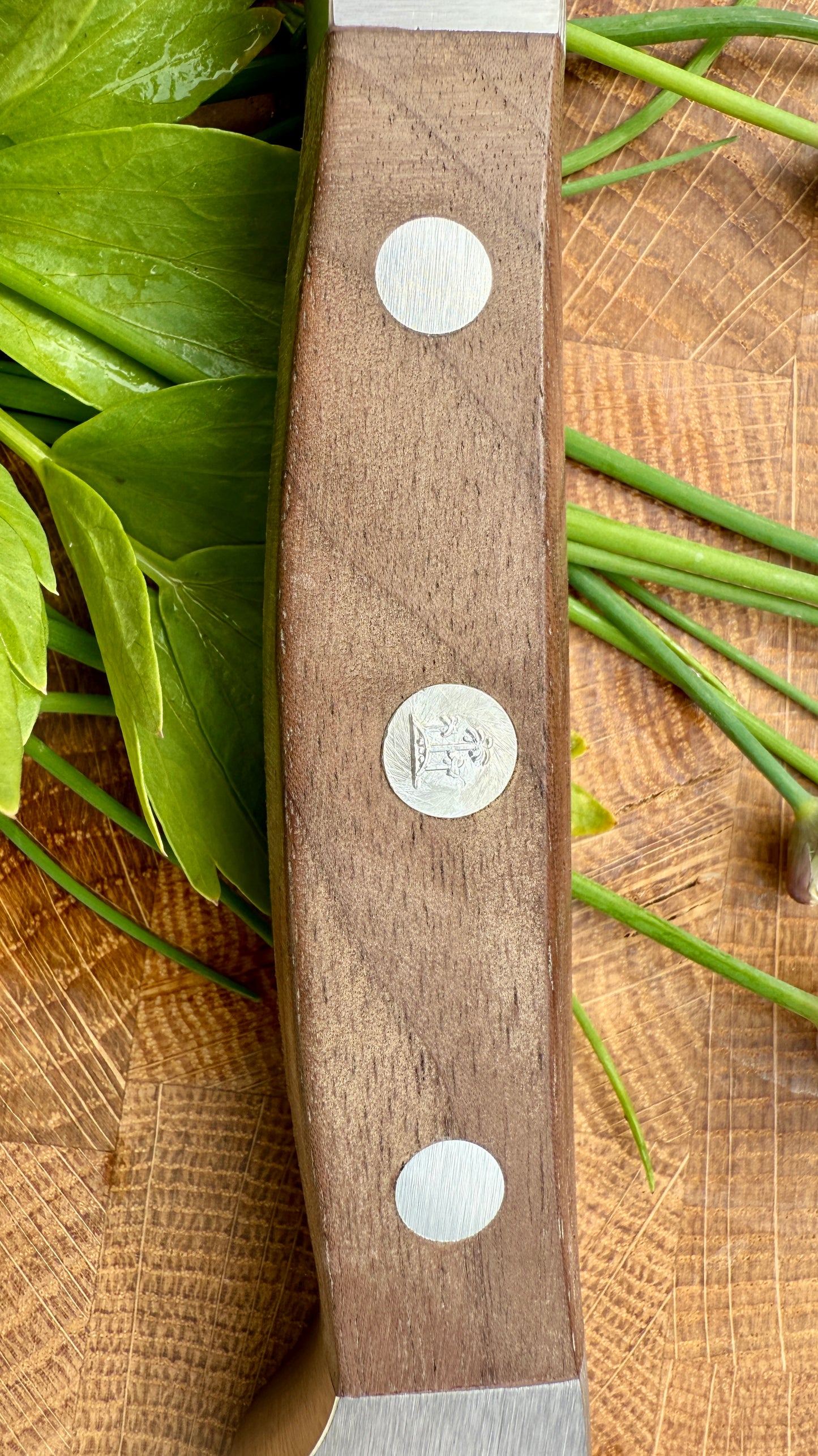 Güde Kräutermesser Shark – Alpha Walnuss (Klingenlänge 14 cm)