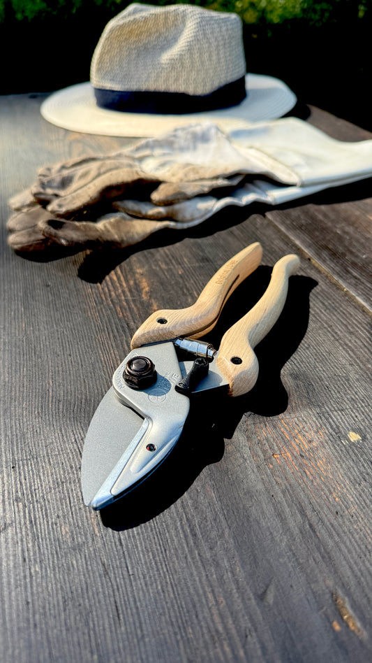 Original Löwe 6.104 Amboss-Schere Natural Echtholzgriff