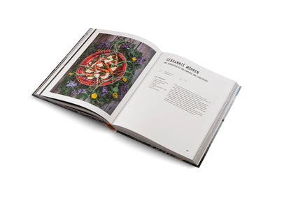 Buch Kochen mit Feuer