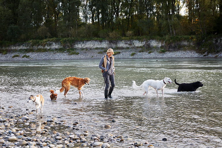 Buch Glück mit Hunden zu leben