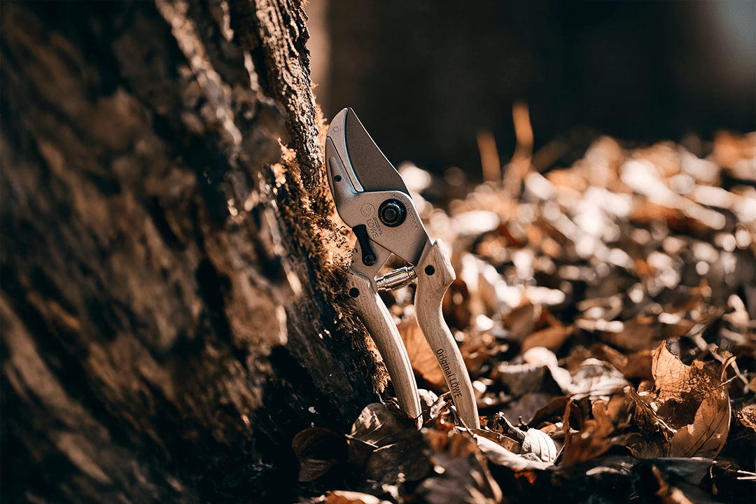 Original Löwe N8.107 Natural