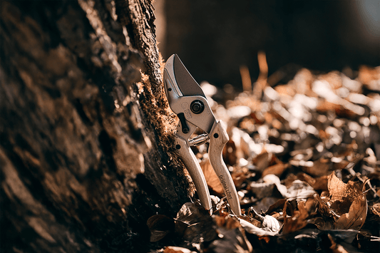 Original Löwe N8.107 Natural