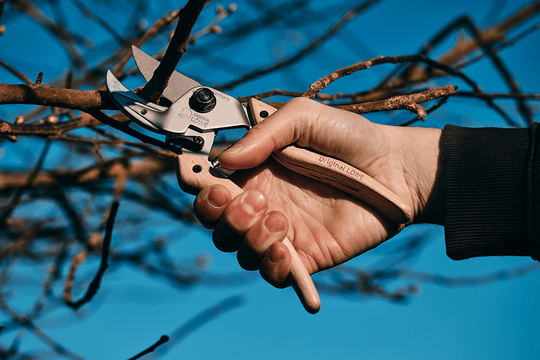 Original Löwe N8.107 Natural