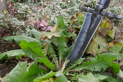 Krumpholz – Unkrautstecher mit Tritt und 85 cm Eschen- T- Stiel – Nr. 1541