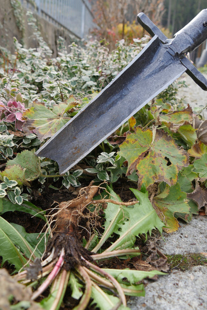 Krumpholz – Unkrautstecher mit Tritt und 85 cm Eschen- T- Stiel – Nr. 1541