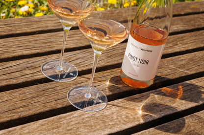 PINOT NOIR Rosé 2024 - Weingut Winter