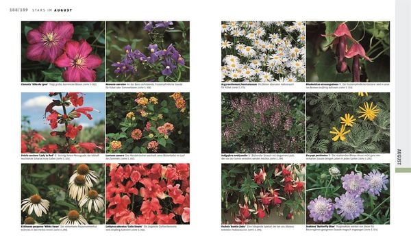 Buch Das Gartenjahr - Die richtige Planung Monat für Monat