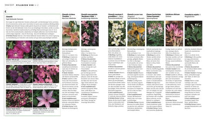 Buch Das Gartenjahr - Die richtige Planung Monat für Monat