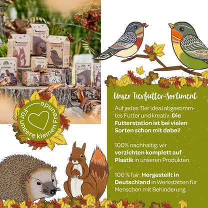 Freiluftbuffet Eichhörnchen