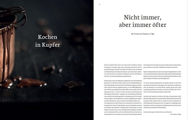 Kochen in Kupfer - Kochen wie die Profis: 50 Rezepte & das Know-How zum edlen Werkstoff Kupfer