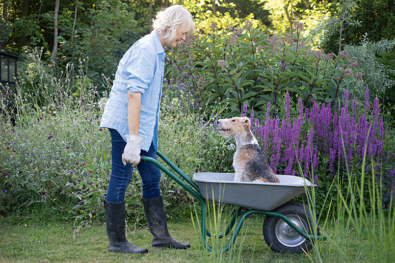 Buch Glück mit Hunden zu leben