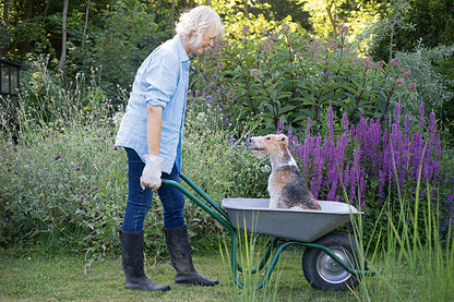 Buch Glück mit Hunden zu leben