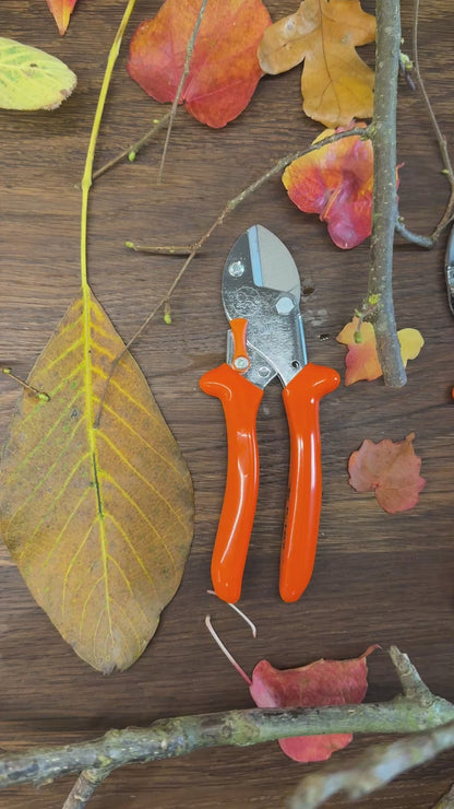 Geschenk-Set Original LÖWE 1.107 und 5.107 für gemeinsame Zeit im Garten