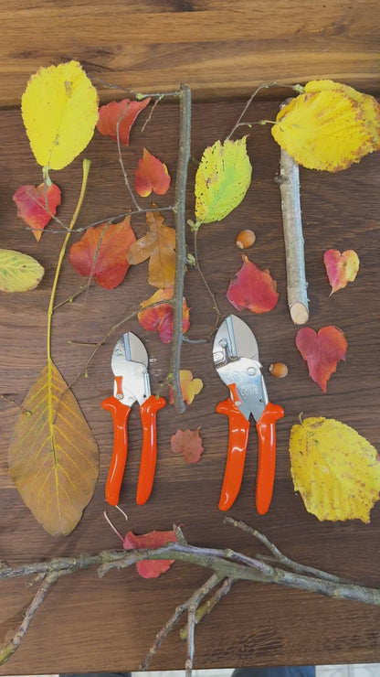 Geschenk-Set Original LÖWE 1.107 und 5.107 für gemeinsame Zeit im Garten