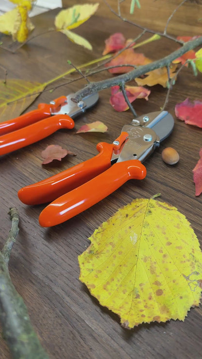 Geschenk-Set Original LÖWE 1.107 und 5.107 für gemeinsame Zeit im Garten