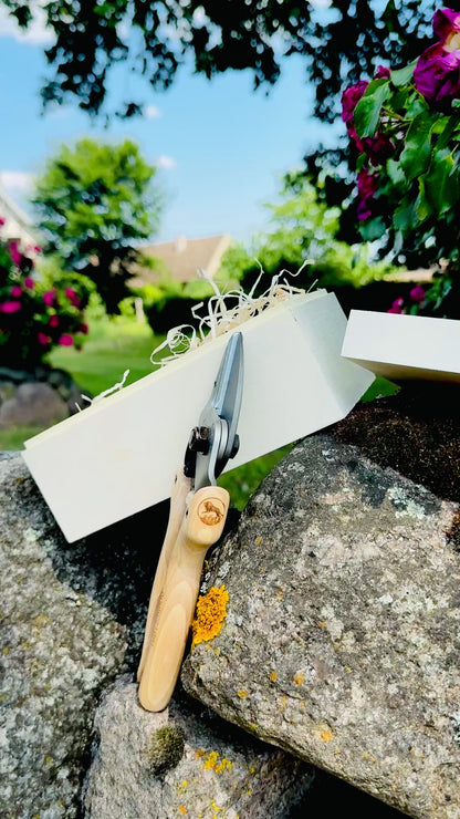 Original Löwe 6.104 anvil scissors with natural wood handle