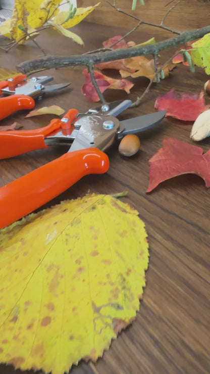 Geschenk-Set Original LÖWE 1.107 und 5.107 für gemeinsame Zeit im Garten