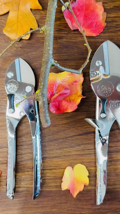 Geschenkset Original Löwe 2er Set für Sie und Ihn