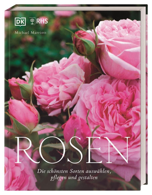 Buch Rosen - Die schönsten Sorten auswählen, pflegen und gestalten