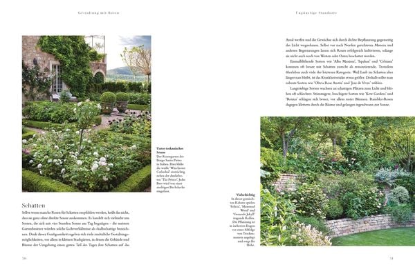 Buch Rosen - Die schönsten Sorten auswählen, pflegen und gestalten