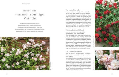 Buch Rosen - Die schönsten Sorten auswählen, pflegen und gestalten