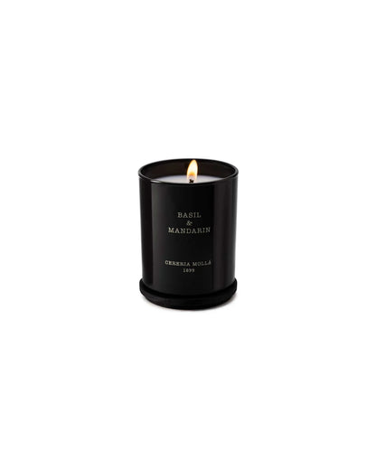 Duftkerze Basil & Mandarin – Zitrone, Limette & Mandarine
