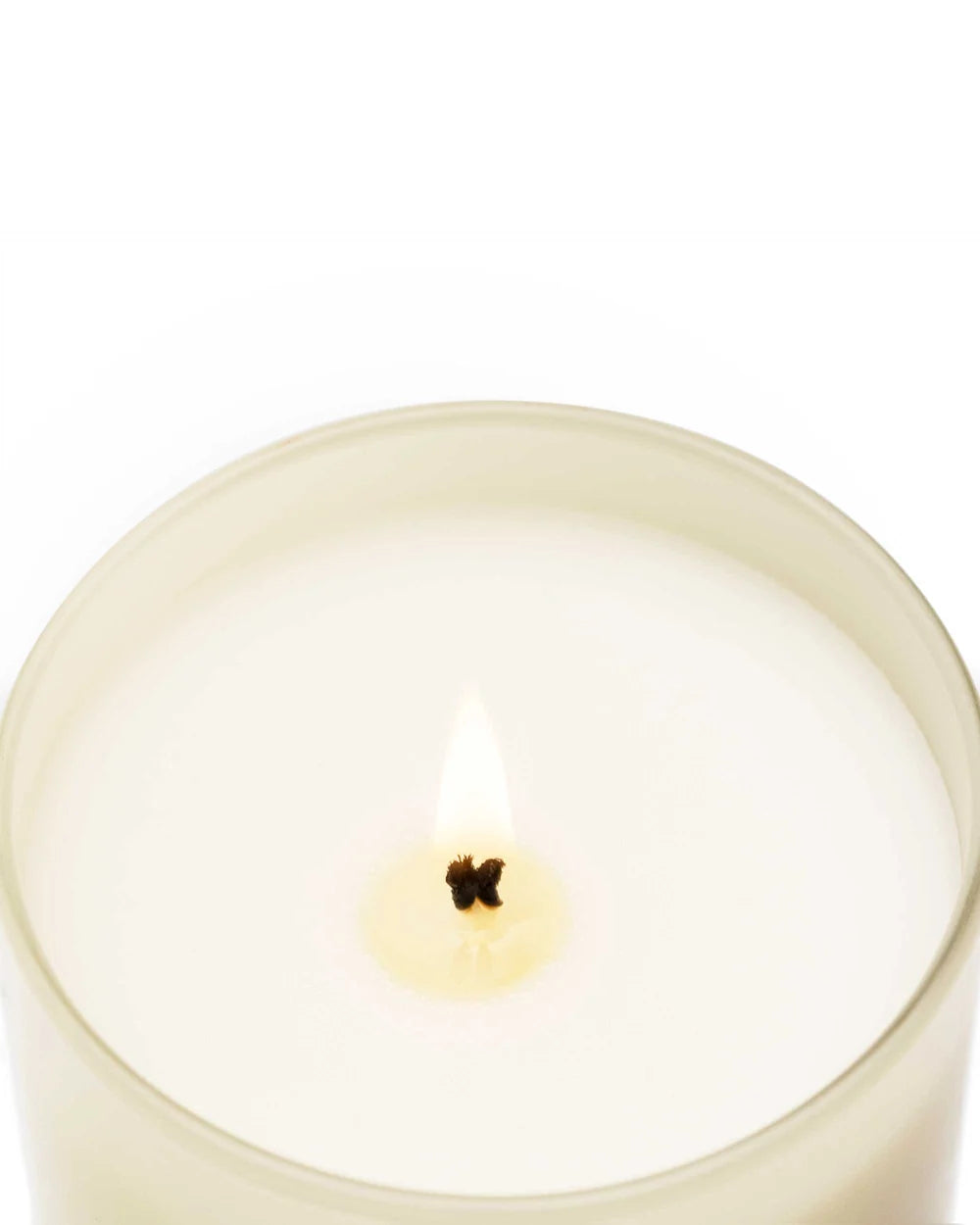 Duftkerze Moroccan Cedar – Zedernholz, Gewürze & orientalische Süße