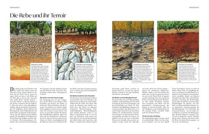 Wein - die große Schule