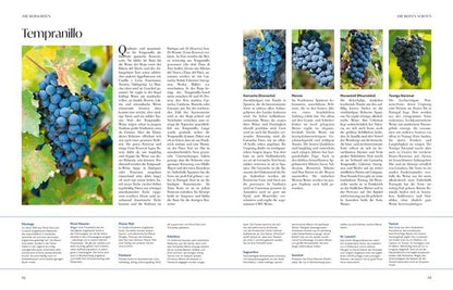 Wein - die große Schule