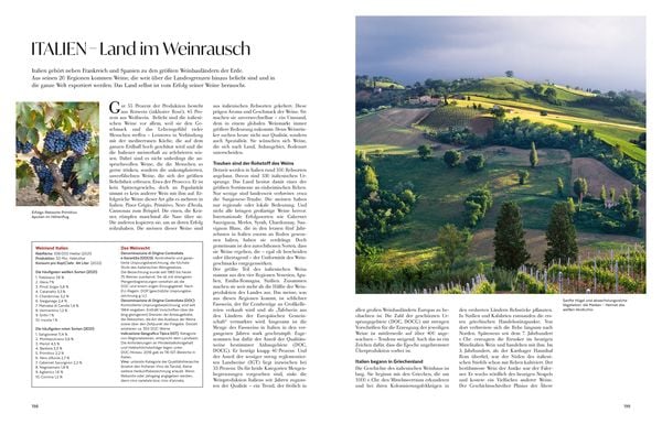 Wein - die große Schule