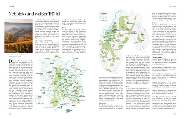 Wein - die große Schule