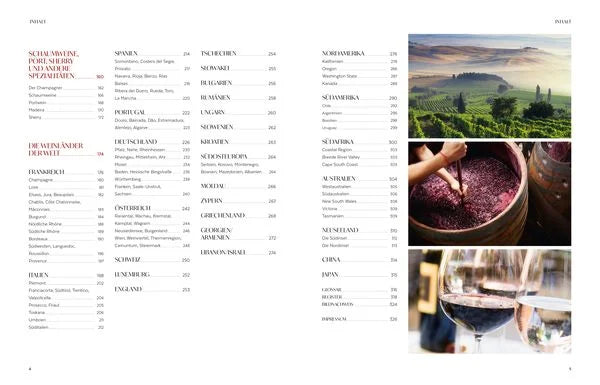 Wein - die große Schule