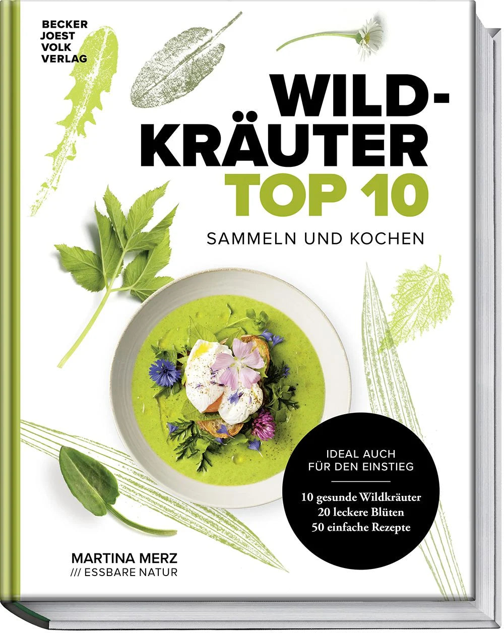 Wildkräuter Top 10 - Sammeln und kochen