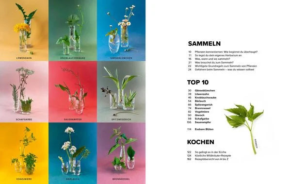 Wildkräuter Top 10 - Sammeln und kochen