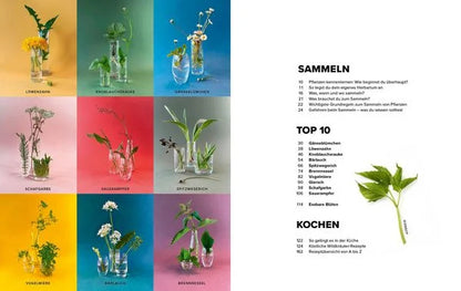 Wildkräuter Top 10 - Sammeln und kochen