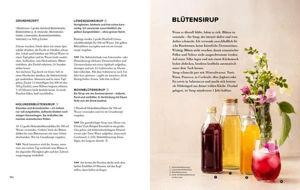 Wildkräuter Top 10 - Sammeln und kochen